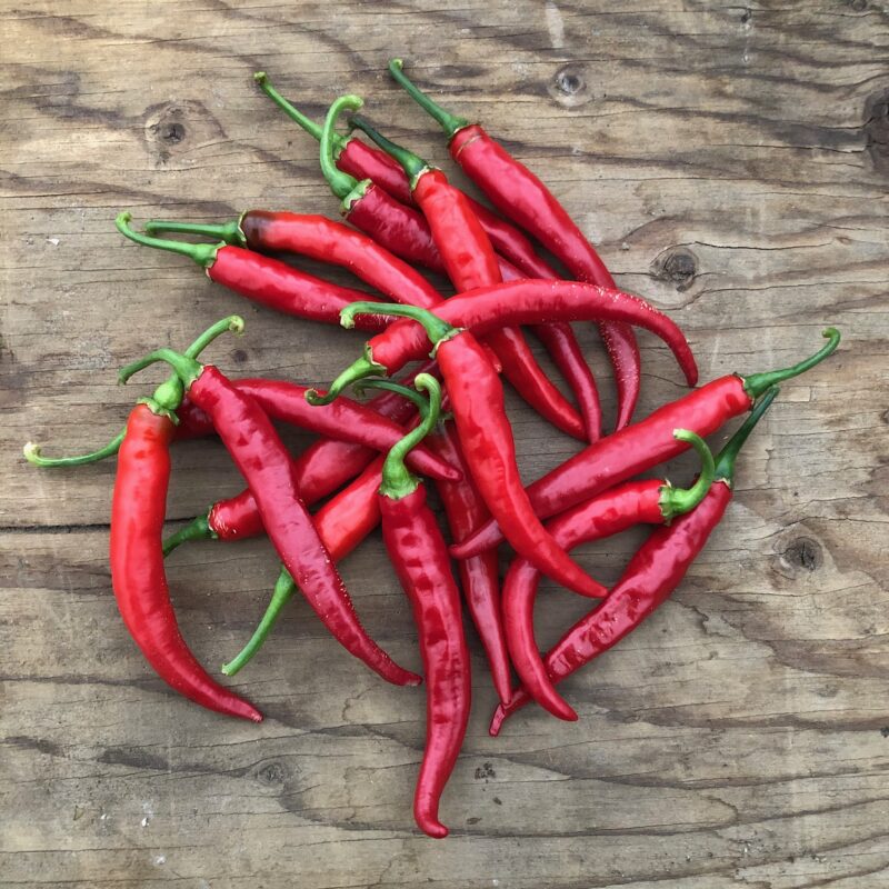 piment de cayenne