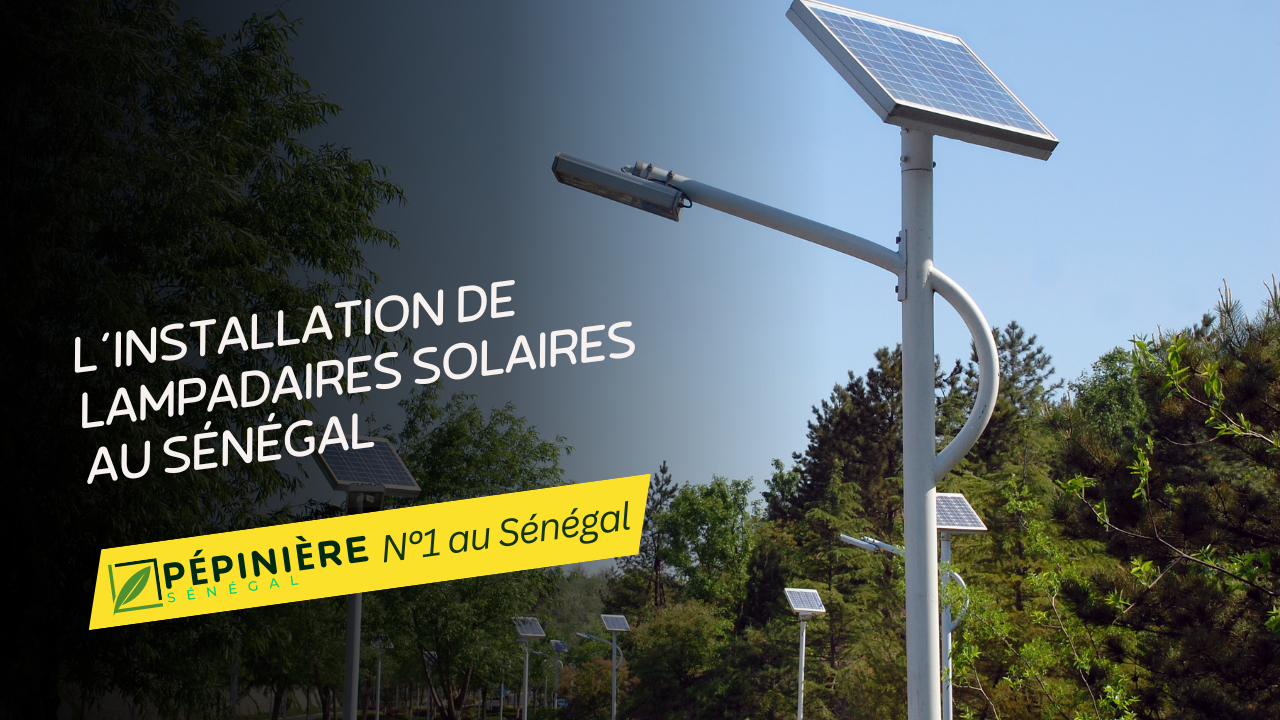 Illuminer le Futur : L'Installation de Lampadaires Solaires au Sénégal