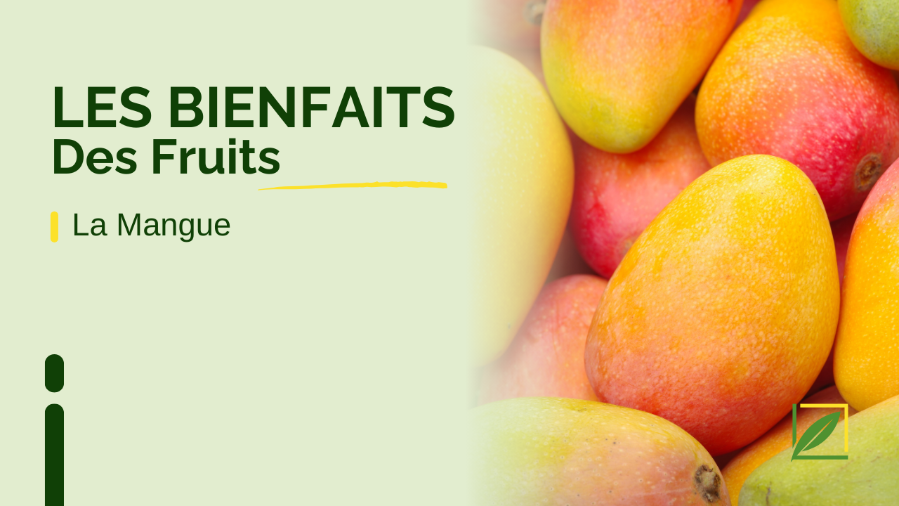 Les Bienfaits des Fruits : La Mangue