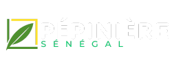 Pepiniere Sénégal