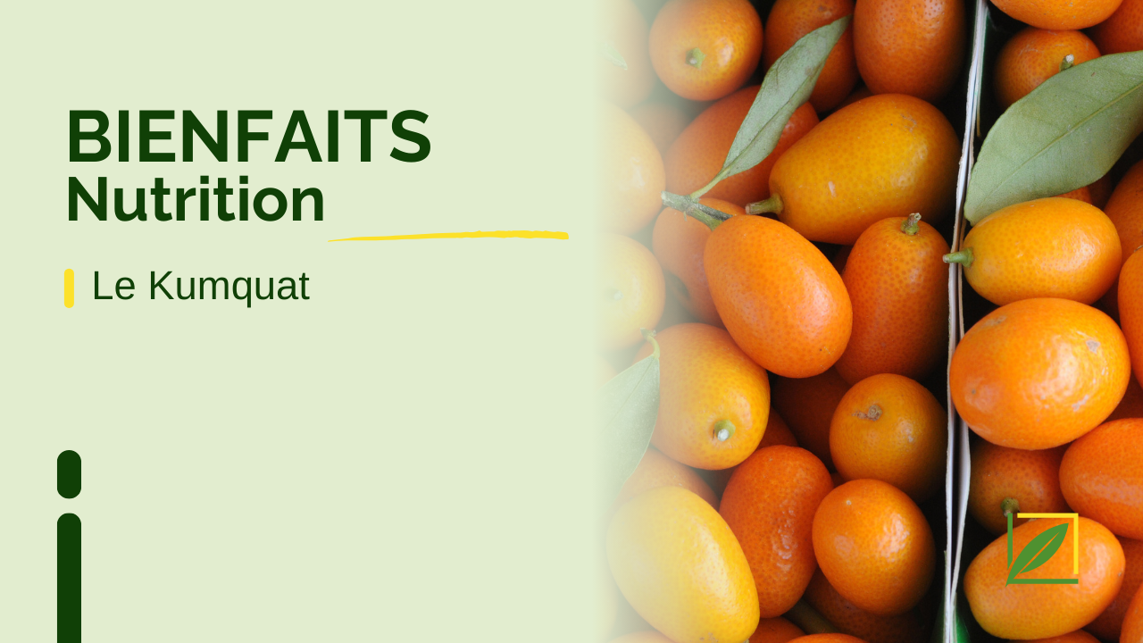 Les Bienfaits du Kumquat