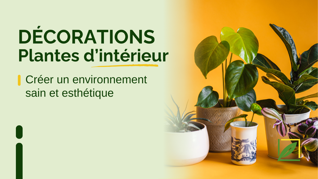 Déco d’intérieur et plantes : créer un environnement sain et esthétique