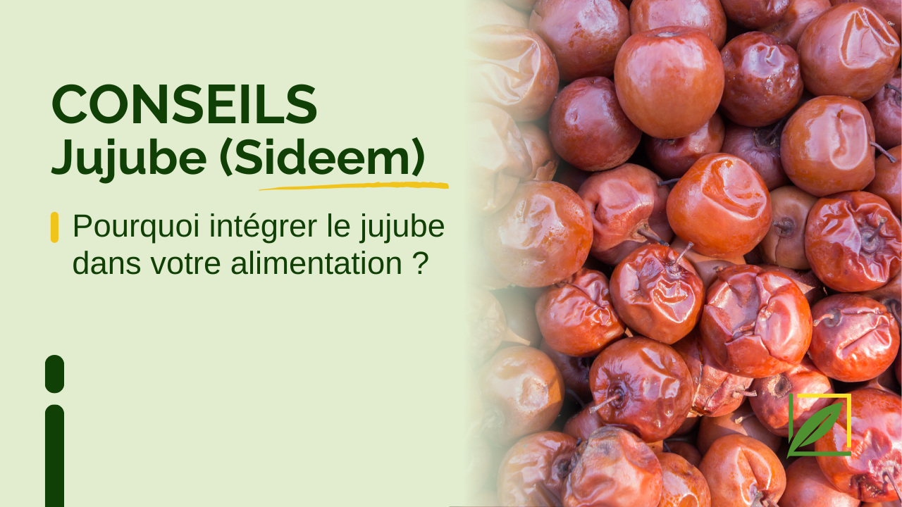 Pourquoi intégrer le jujube dans votre alimentation ? Découvrez ses vertus nutritionnelles