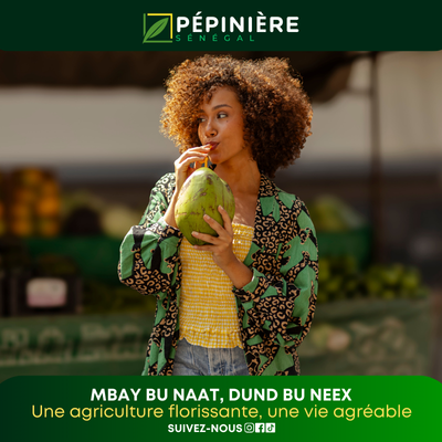 Leader en pépinière au Sénégal