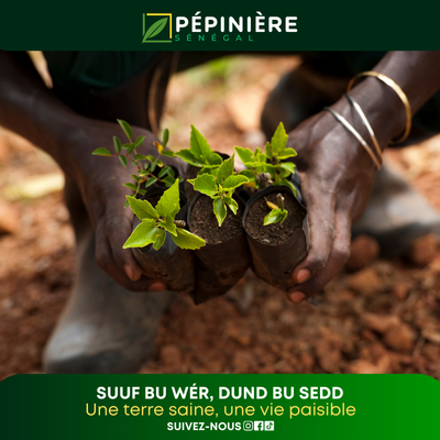 Une terre saine, une vie paisible