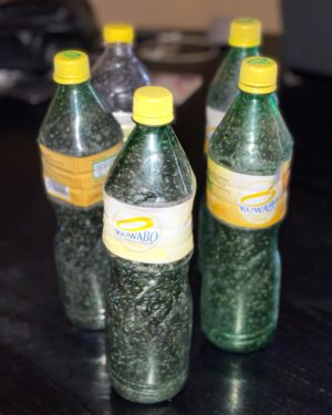 Graines de Campêche – 1L