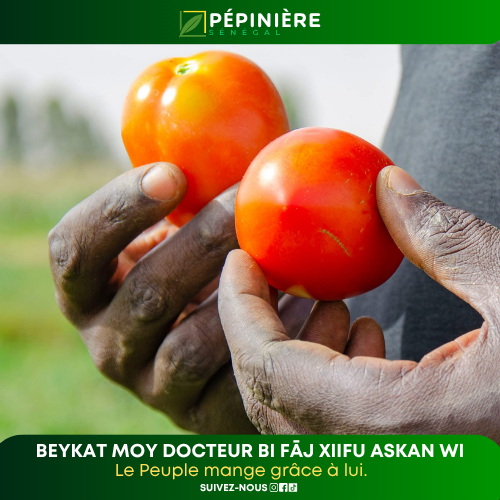 Beykat moy docteur bi fāj xiifu askan wi